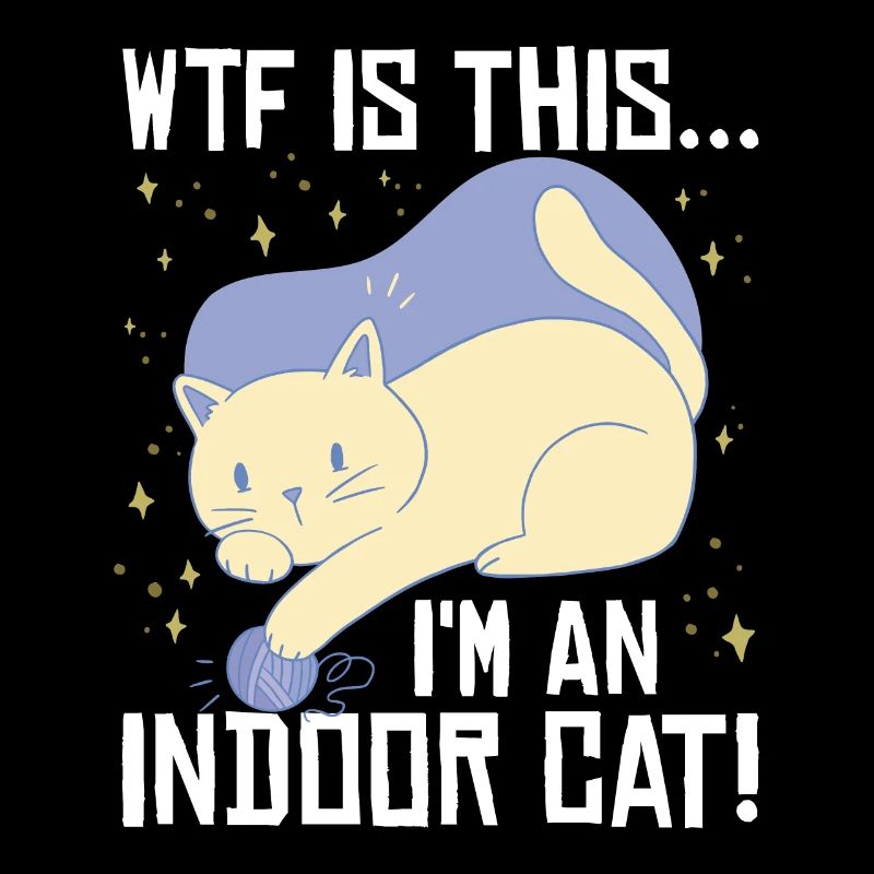 Je suis un chat d’intérieur