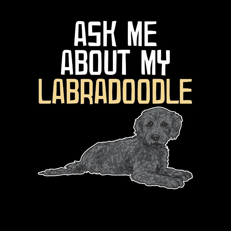 Labradoodle Hund