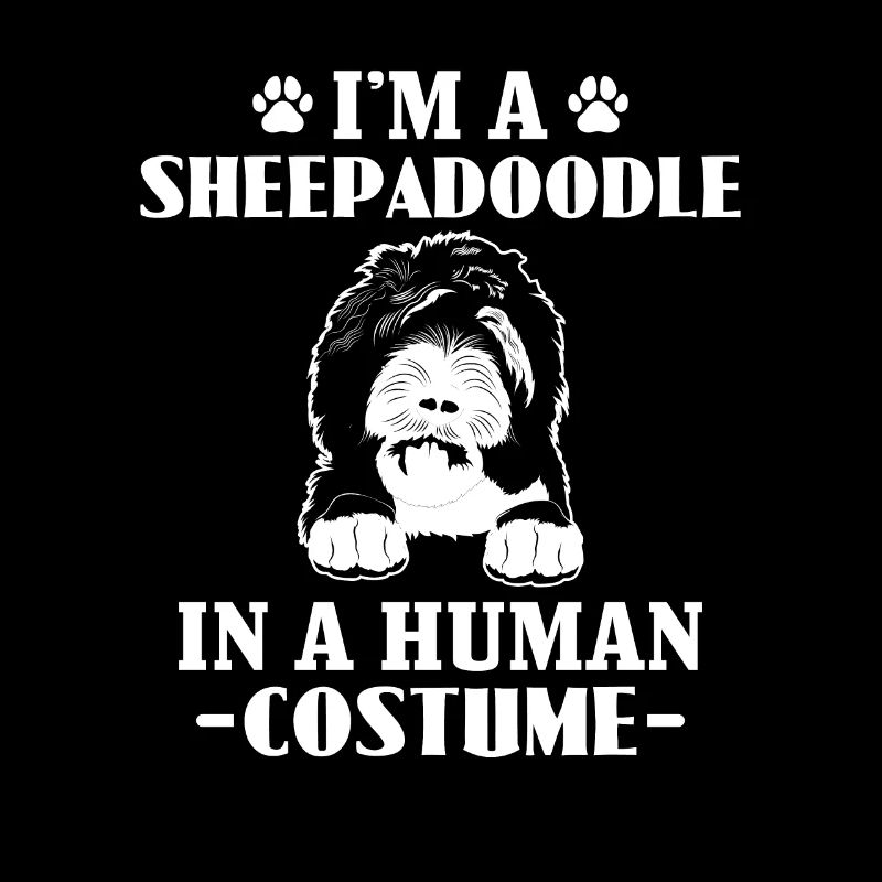 Sheepadoodle Doodle Hund