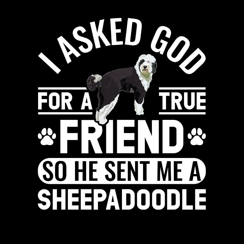 Sheepadoodle Doodle Dog
