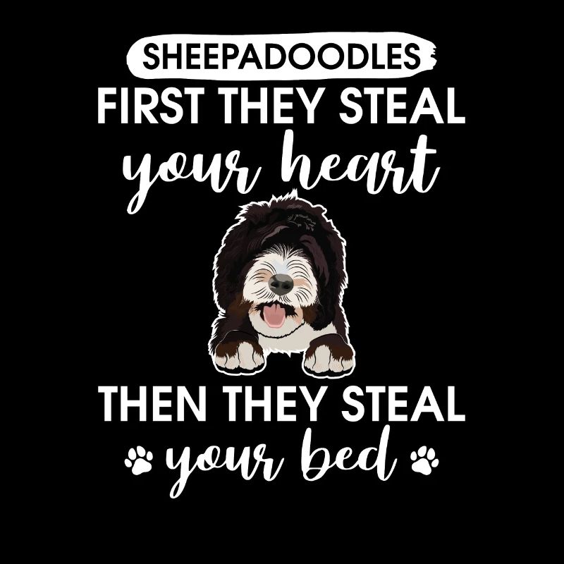 Sheepadoodle Doodle Dog
