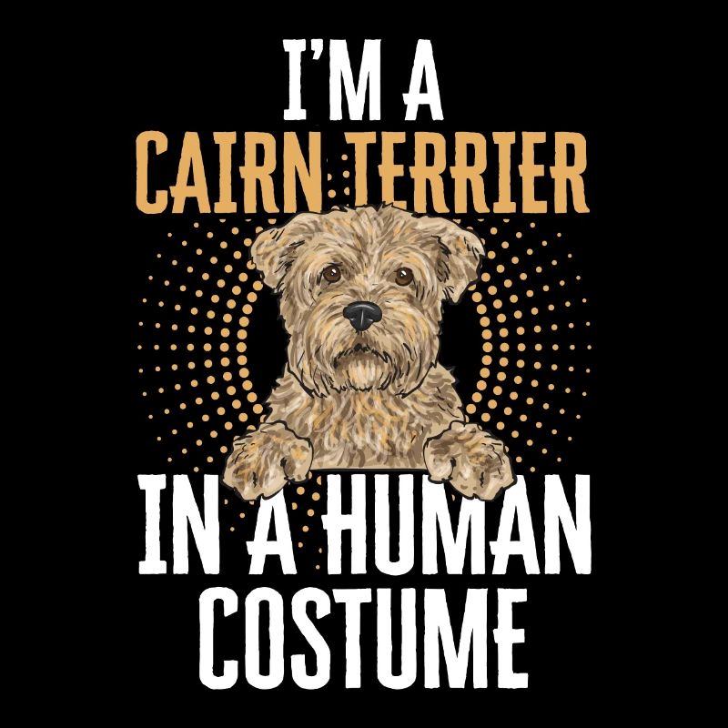 Cairn Terrier Hund