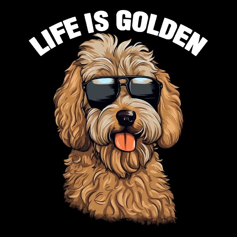 La vie de chien Goldendoodle est dorée