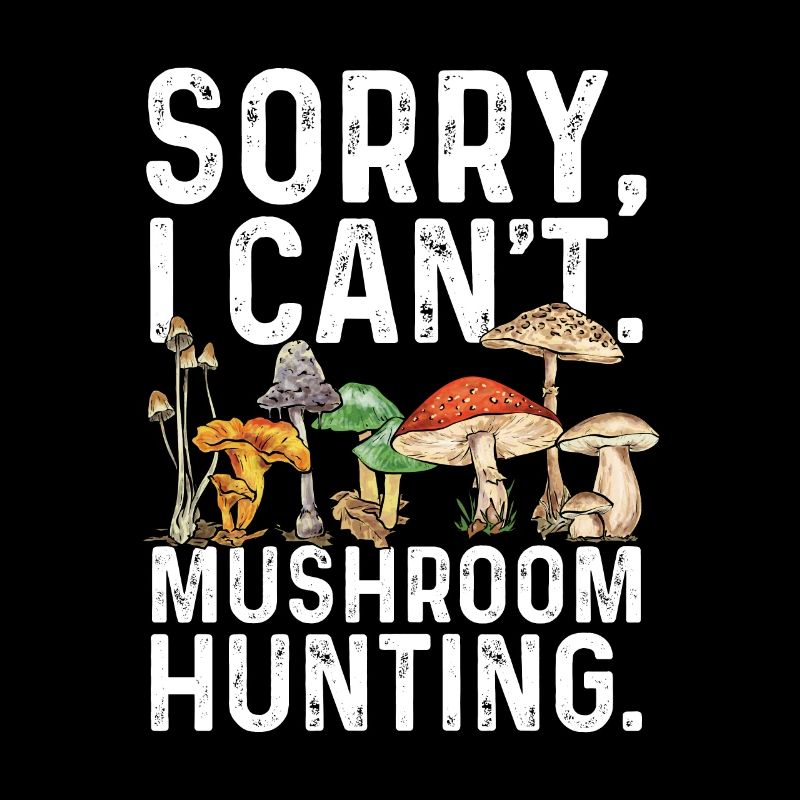 Chasse aux champignons, champignons, morilles, cueillette de champignons, cueillette de champignons
