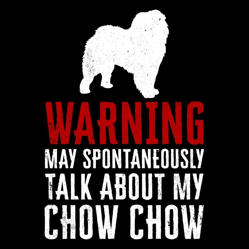 Chow Chow Chien