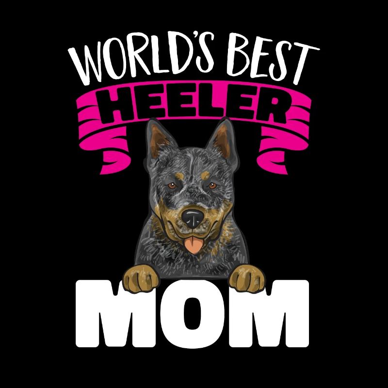 Bouvier australien Red Blue Heeler