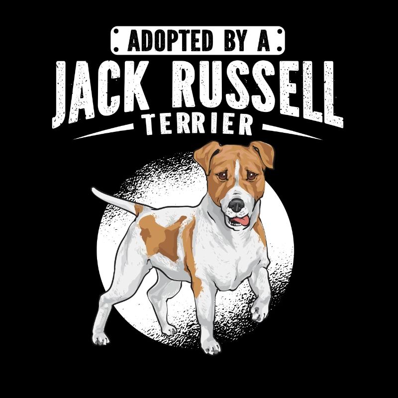 Jack Russell Terrier
