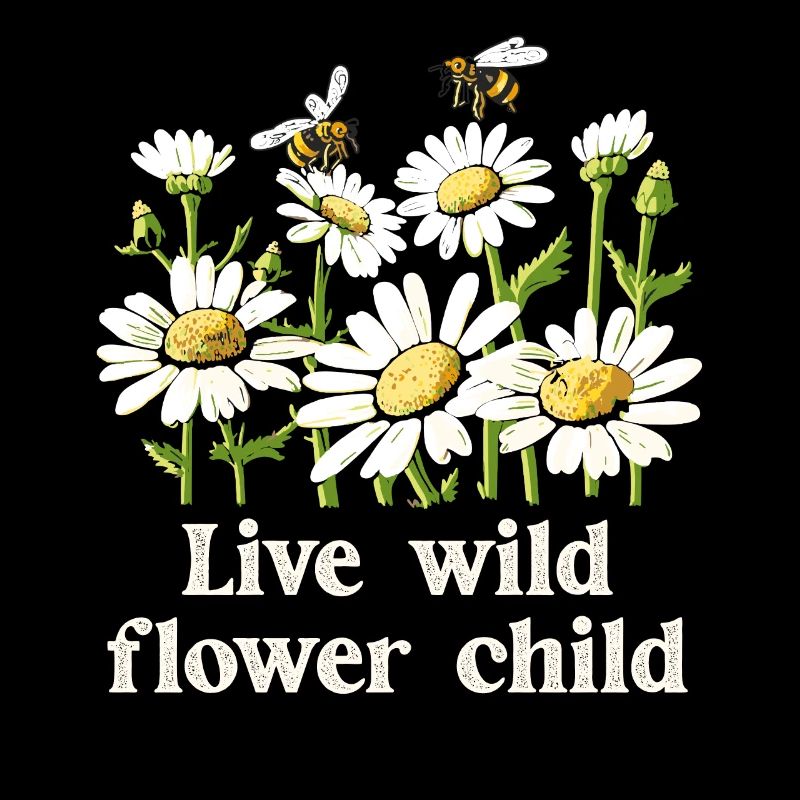 Margeriten Gänseblümchen Sommer Gänseblümchen Blumengarten