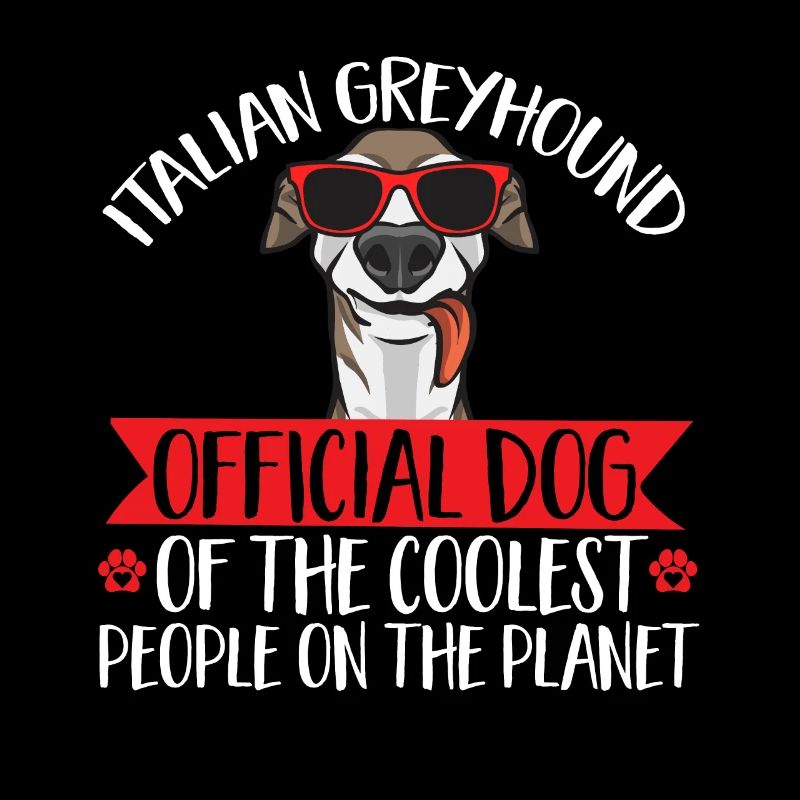 Lévrier italien Greyhound Chiens
