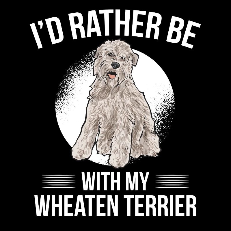 Terrier irlandais à enrobage doux