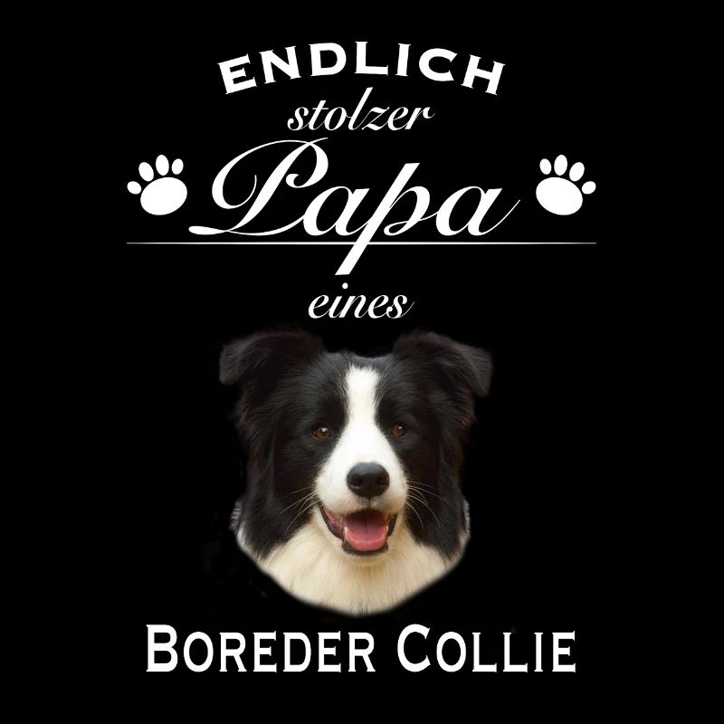 Endlich stolzer Papa - Border Collie