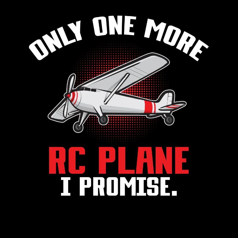 Remote Controlled Airplane Model Airplane