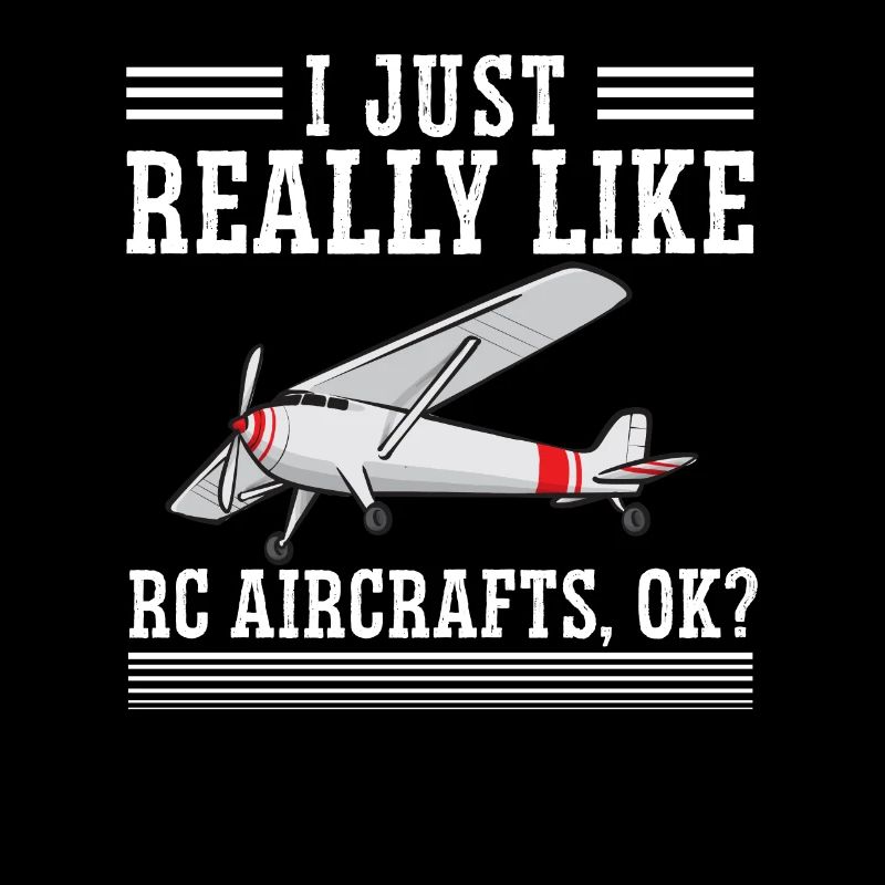 Modèle d’avion télécommandé