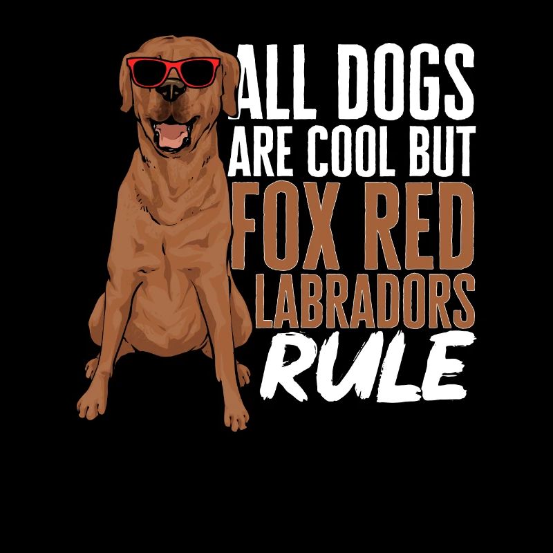 Foxred Labrador Fuchsroter Labrador Retriever