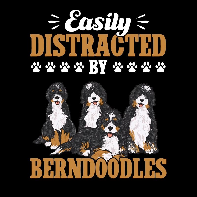 Bernedoodle Hund