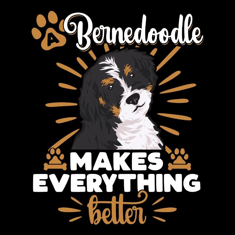 Bernedoodle Hund