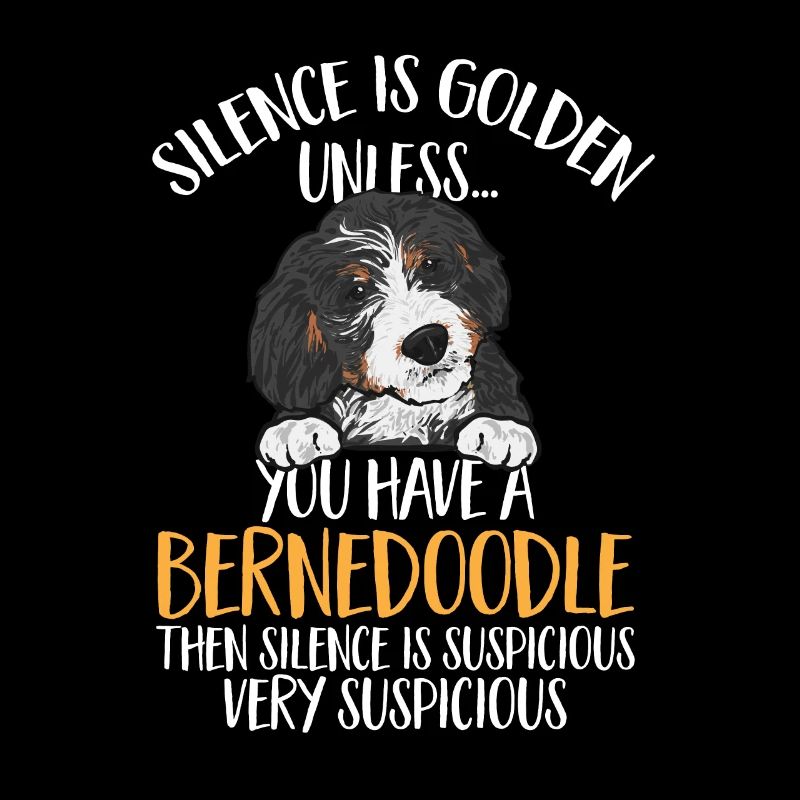 Bernedoodle Hund
