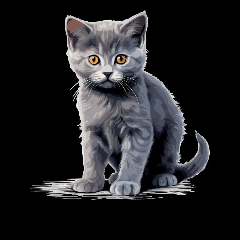 Chat Chartreux Chat Chartreux