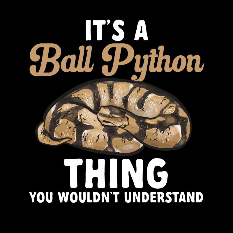 Ball Python Schlange Königspython