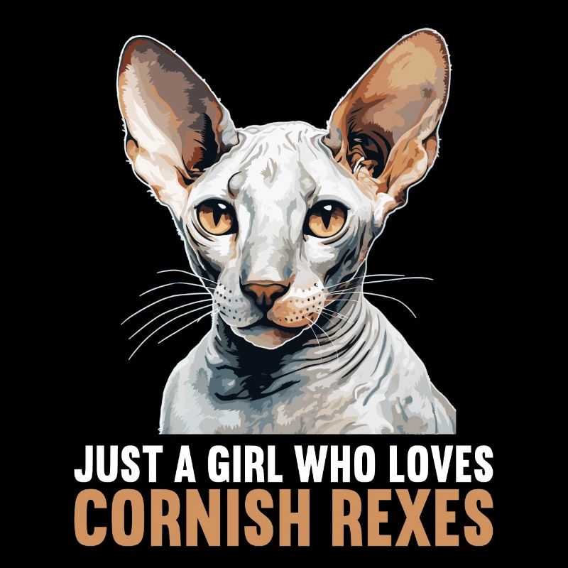 Cornish Rex Kätzchen Cornish Rex Katze