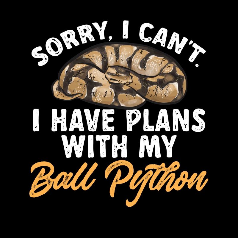 Ball Python Schlange Königspython