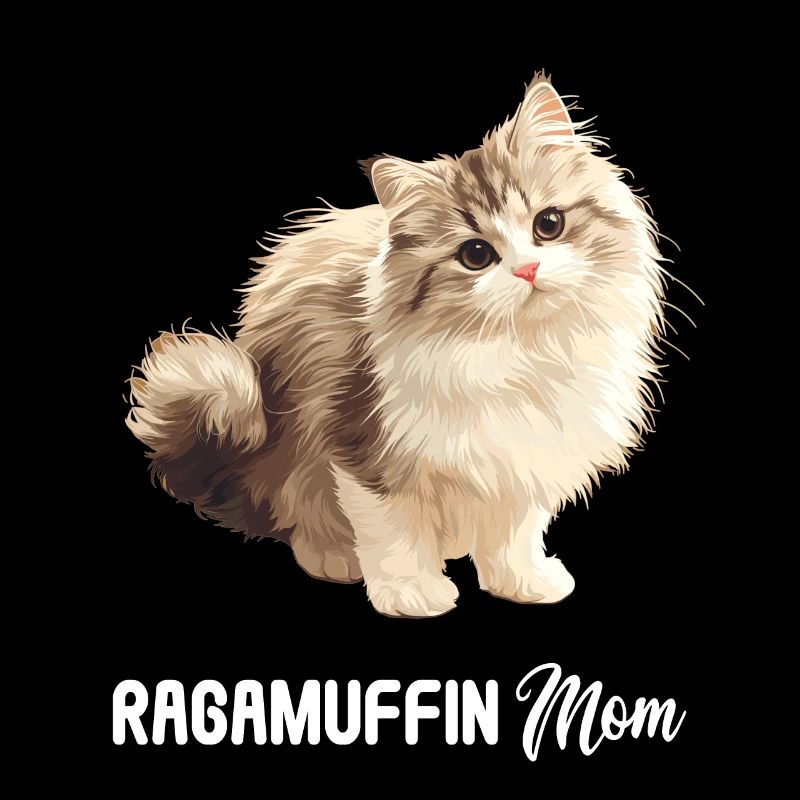 Ragamuffin Kätzchen Ragamuffin Katze