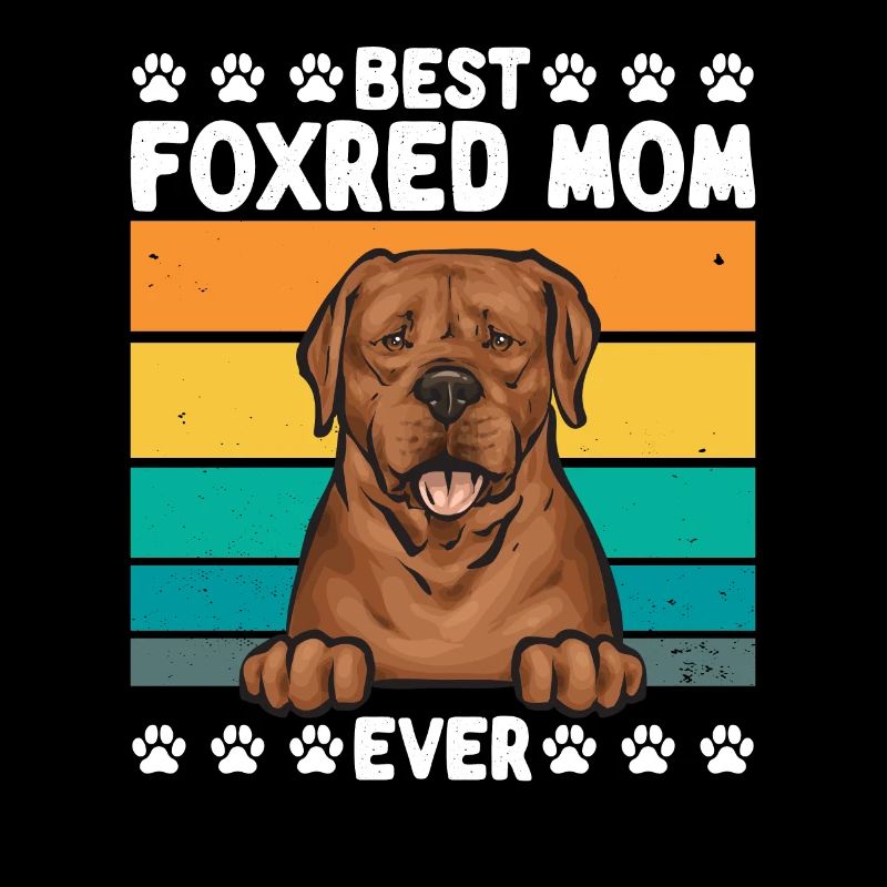 Fuchsroter Labrador Retriever Fox Red Labrador
