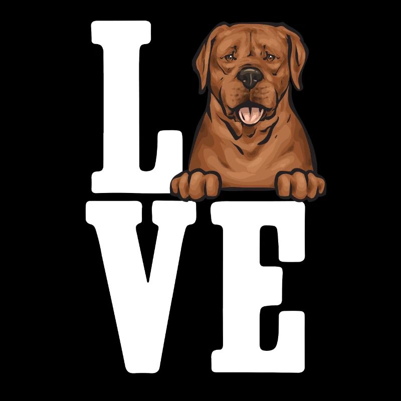 Fuchsroter Labrador Retriever Fox Red Labrador