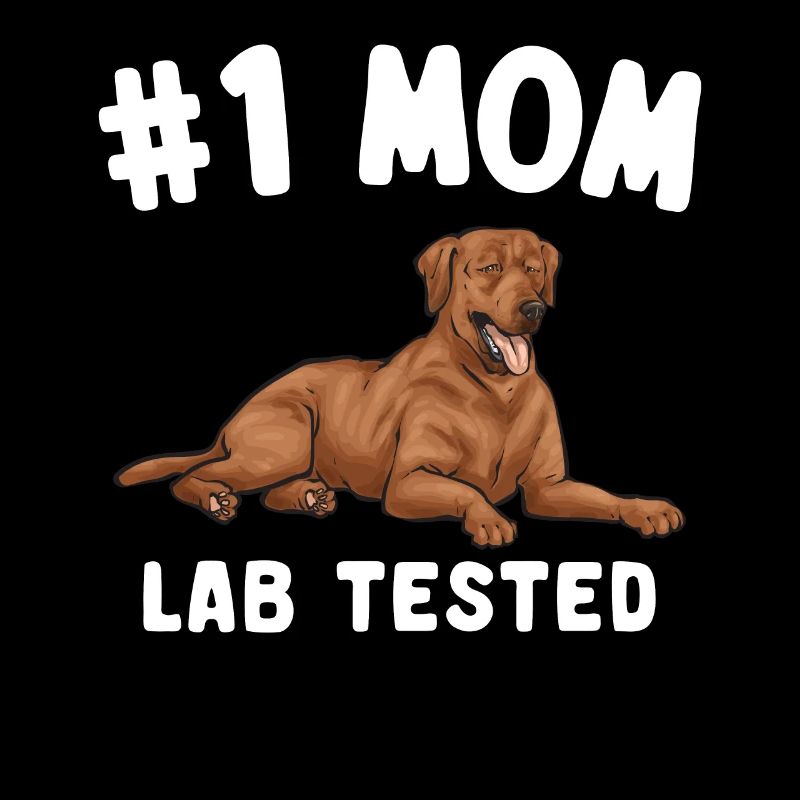 Fuchsroter Labrador Retriever Fox Red Labrador