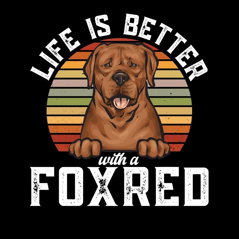 Fuchsroter Labrador Retriever Fox Red Labrador