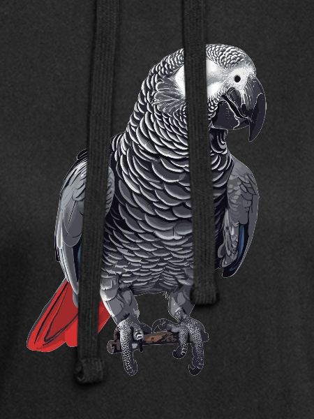African grey parrots