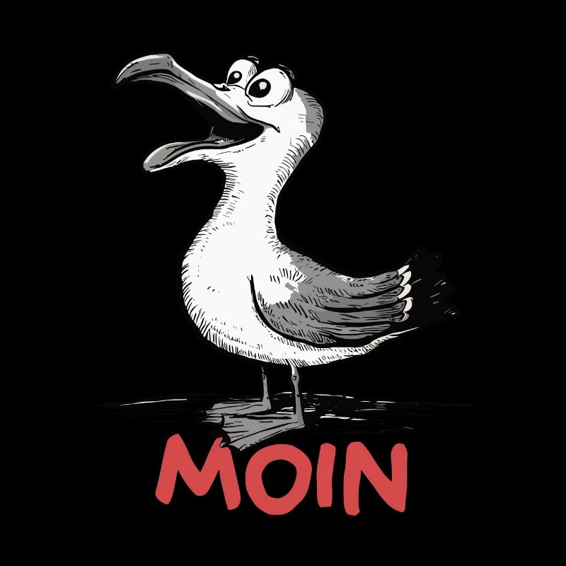 Moin Möwe