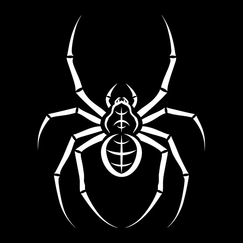 Spinne