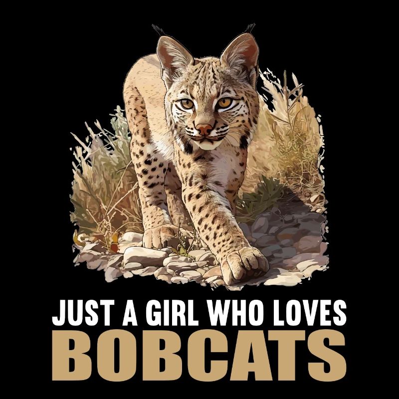 Bobcats Rotluchse Rotluchs Luchs