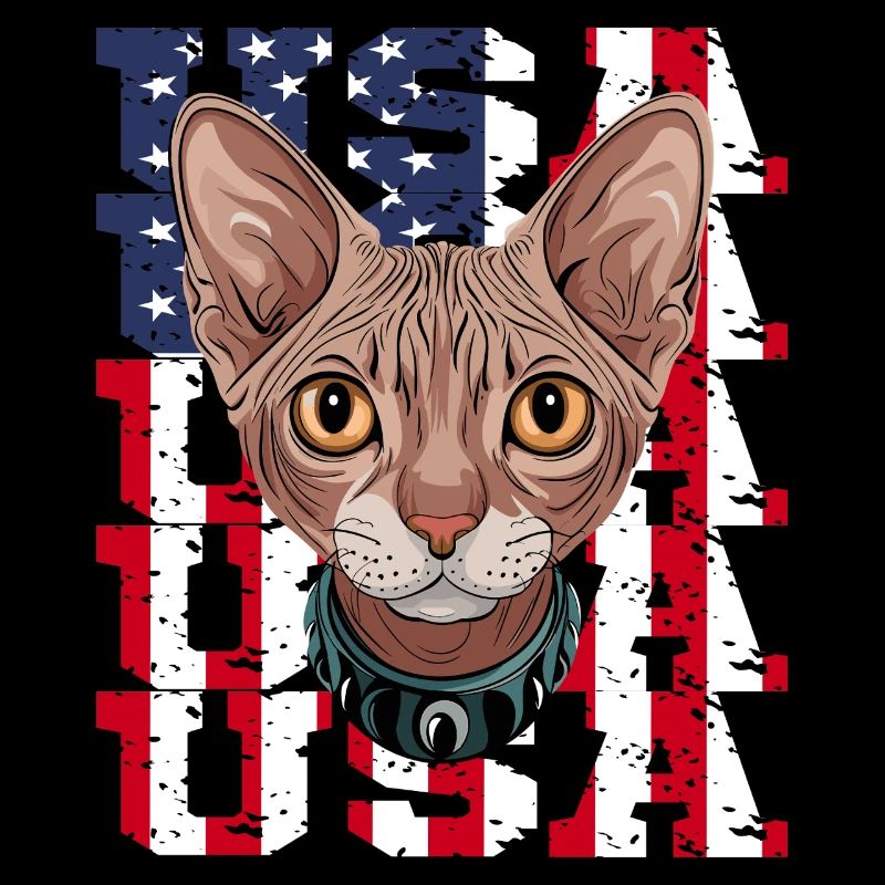 USA Chat Sphynx devant le drapeau