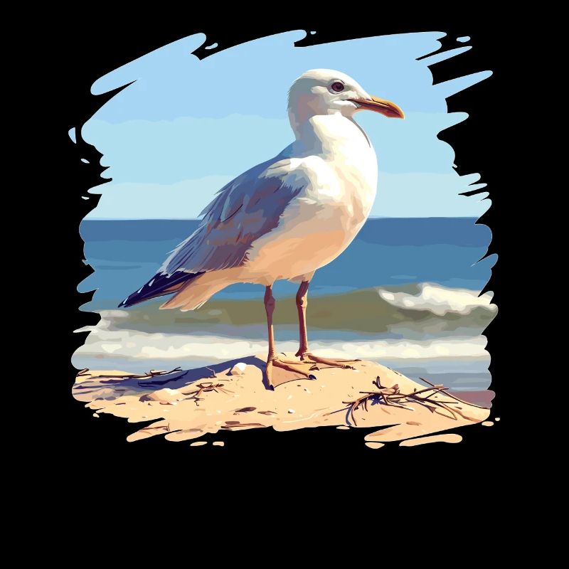 Seagulls Seagull