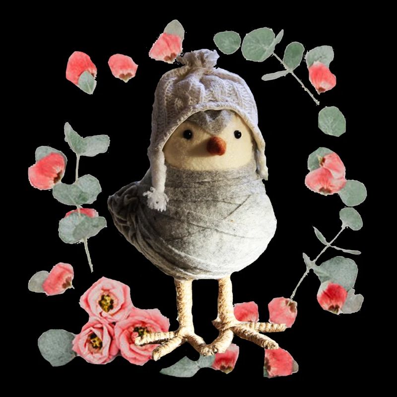 piepmatz