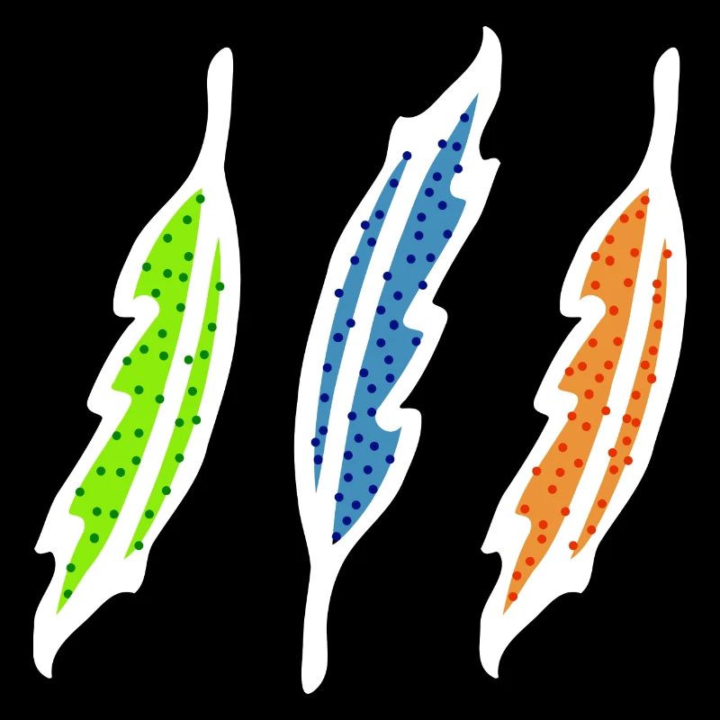 Feathers colorful illustration boho