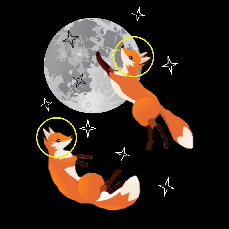 Renard renard dans l’espace