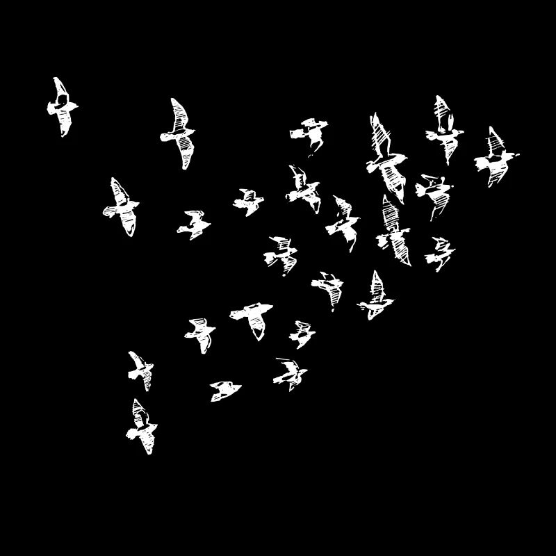 birds