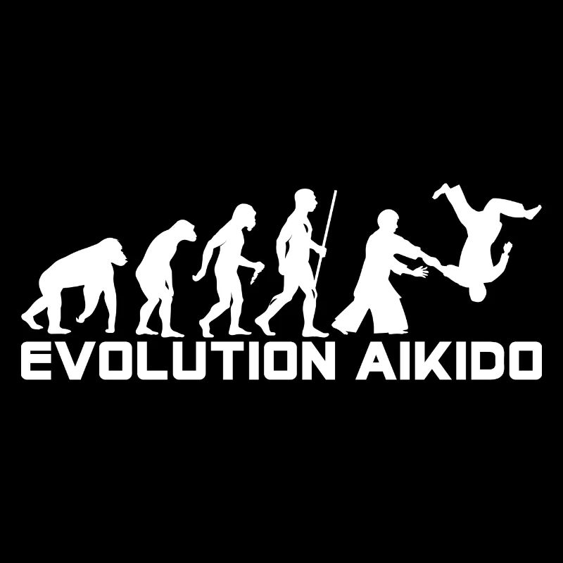 EVOLUTION AIKIDO