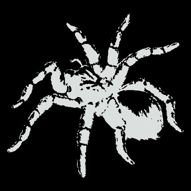 Tarantule araignée blanche