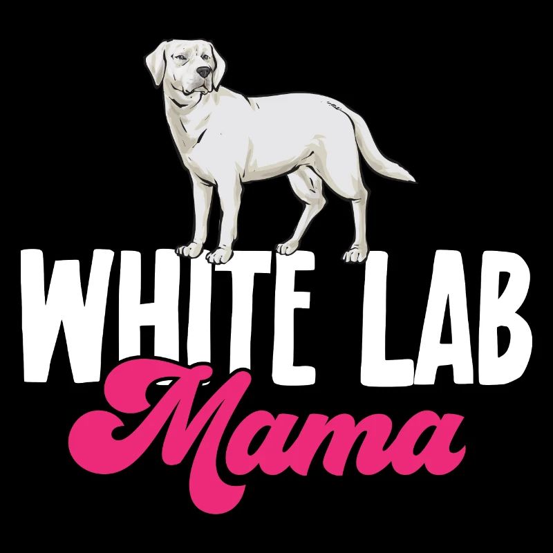Labrador Retriever blanc Labrador Labrador blanc