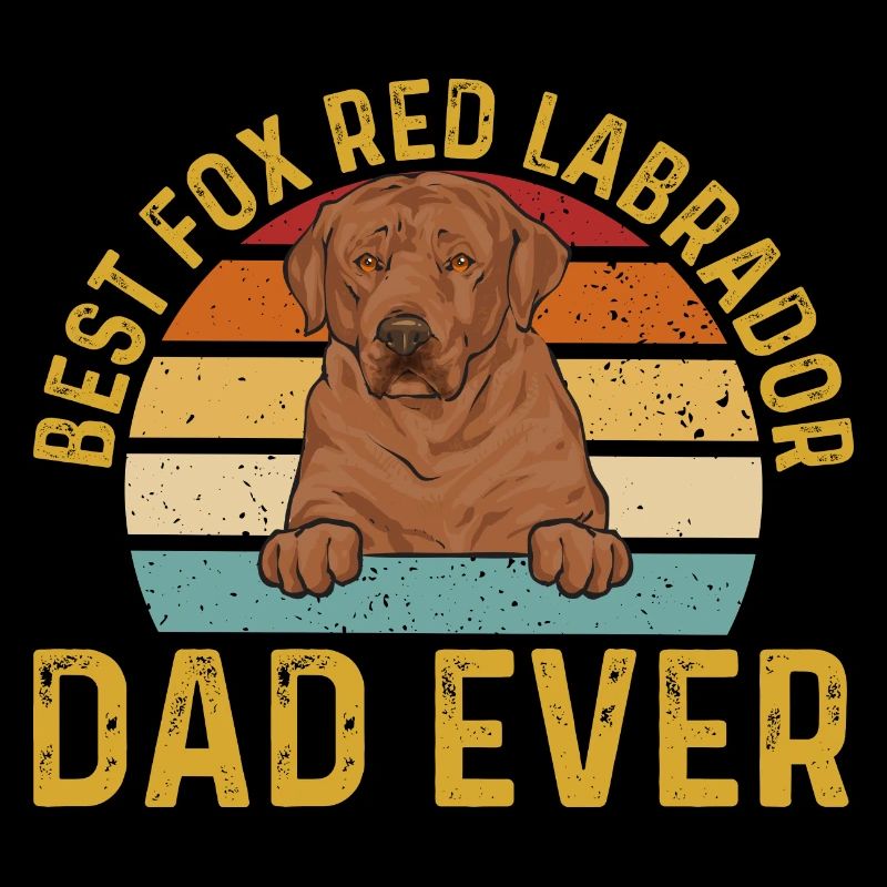 Foxred Labrador Fuchsroter Labrador Retriever