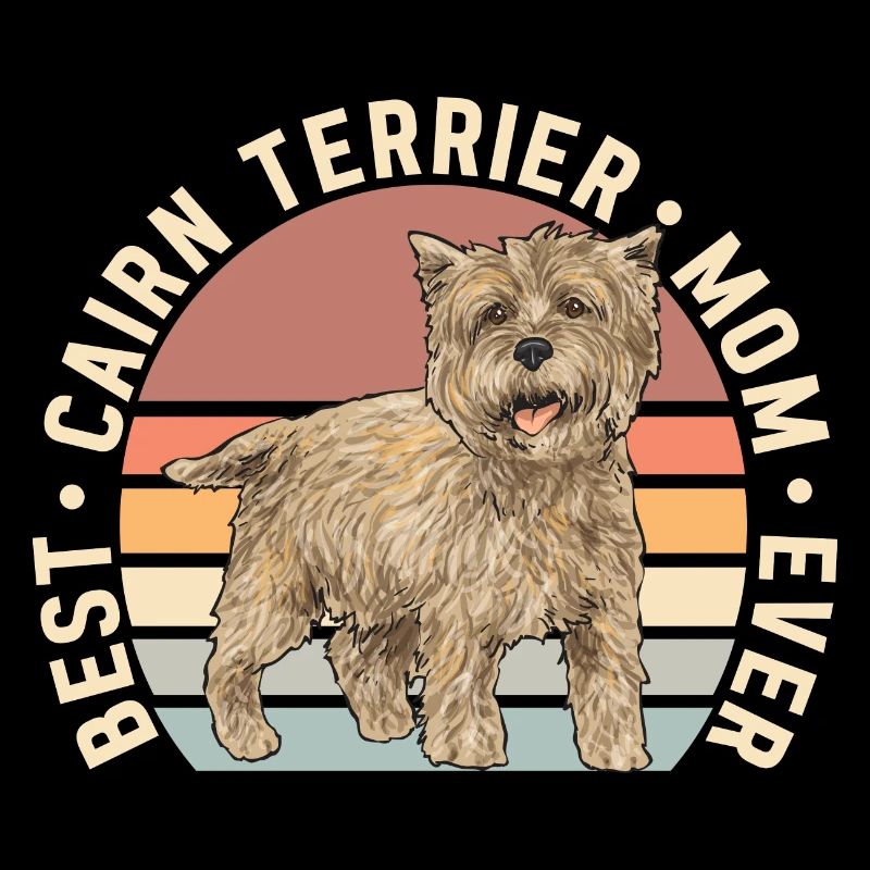 Cairn Terrier Chien