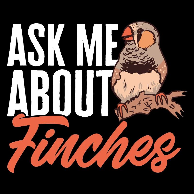 Zebra Finches Bird Zebra Finch