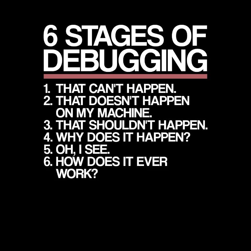 6 Stages of Debugging | Programmer, computer science