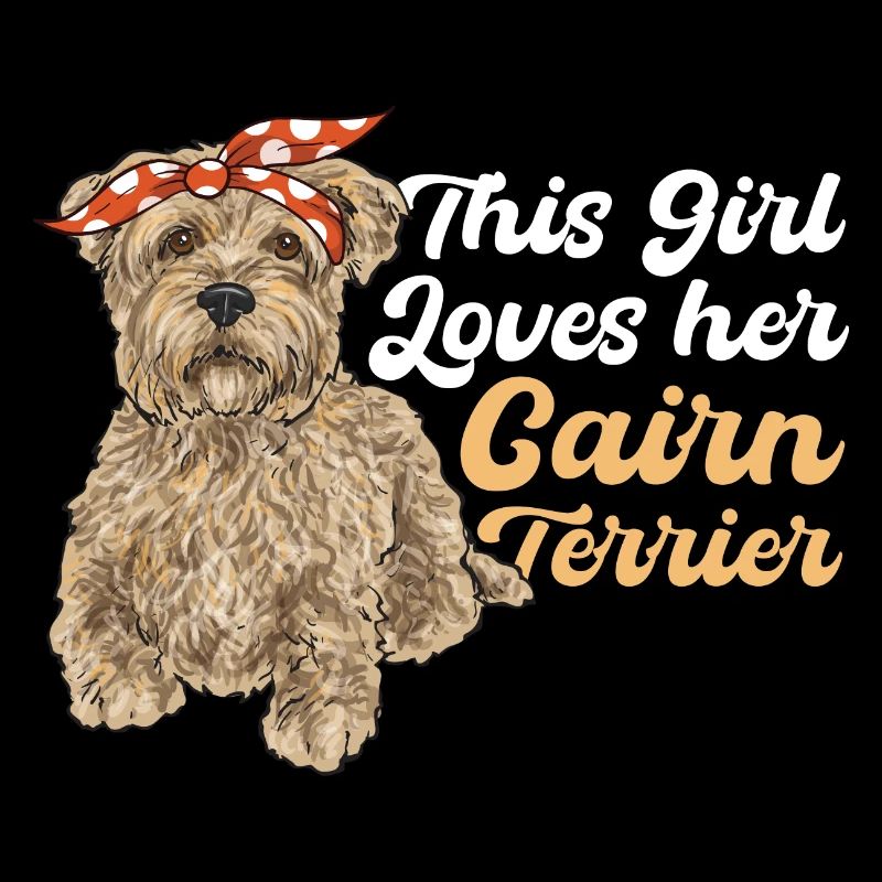 Cairn Terrier Chien