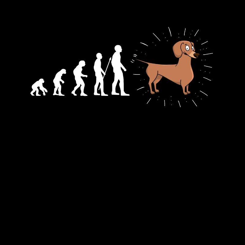 Evolution Dackel Hund Hunde Fun Spaß
