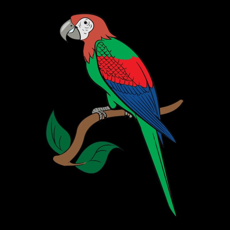 Parrot macaw drawing
